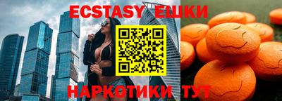 дмт Дубна