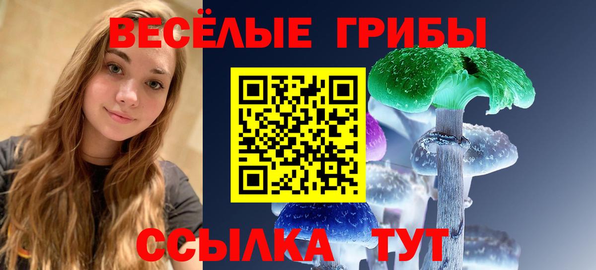 Галлюциногенные грибы Psilocybine cubensis  Вход с VPN  Галлюциногенные грибы ЛСД  Куйбышев 