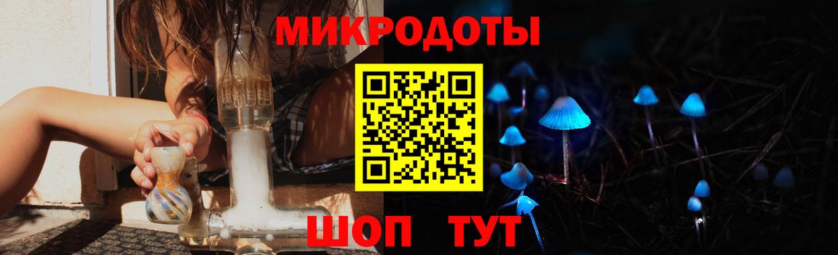 Псилоцибиновые грибы прущие грибы Куйбышев